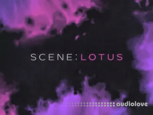 Native Instruments Scene Lotus