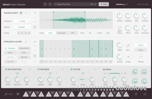 Excite Audio Bloom Bass Impulse