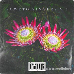 Diaspora Soweto Singers Vol.2