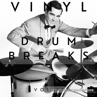 Vinyl Zen Vinyl Drum Breaks Vol.11 (22 Drum Breaks Perfectly Looped)