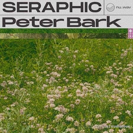 nu.wav Peter Bark - Seraphic