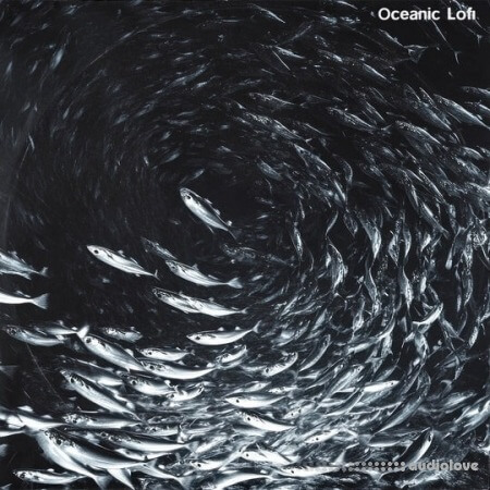Touch Loops Oceanic LoFi