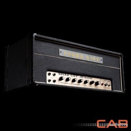 Amalgam Captures SCITY 100 1967 ToneX Essential