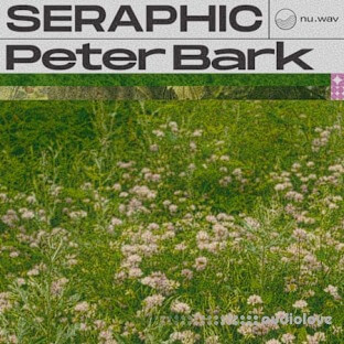 nu.wav Peter Bark - Seraphic