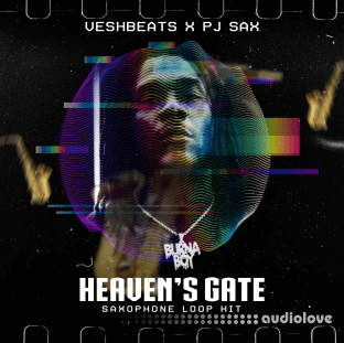 Vesh Beats Heavens Gate Saxophone Loop Kit [PREMIUM]