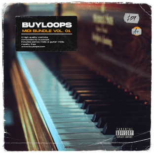 Buyloops MIDI Bundle Vol.1