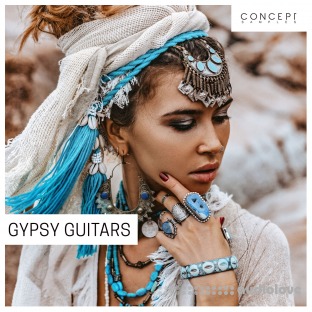Concept Samples Gypsy Guitars