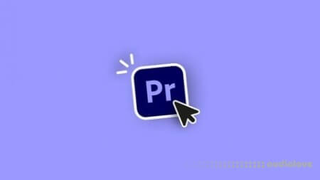 Udemy Premiere Pro Essentials