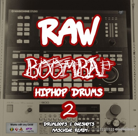 Scarebeatz Raw BoomBap HipHop Drums Vol.2