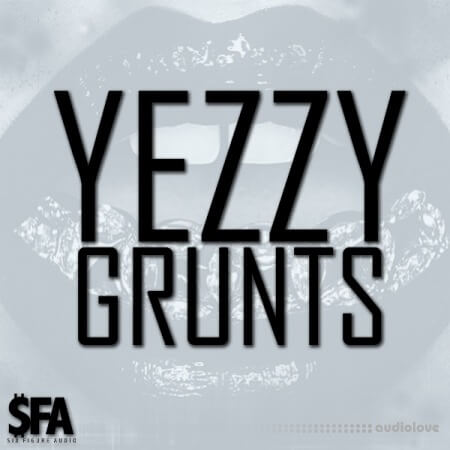 3 Digi Audio Yezzy Grunts
