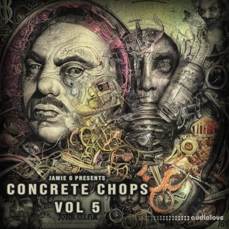 Boom Bap Labs Jamie G Concrete Chops Vol 5