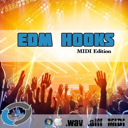 Loopslab EDM Hooks