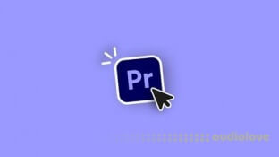 Udemy Premiere Pro Essentials