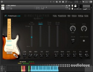 Pettinhouse Direct Guitar 4