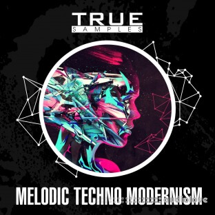True Samples Melodic Techno Modernism