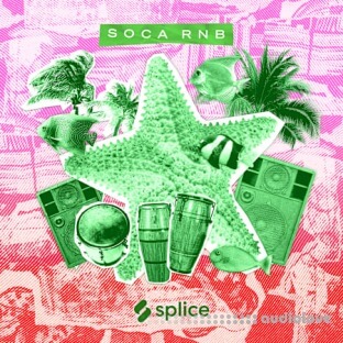 Splice Sessions Soca Rnb