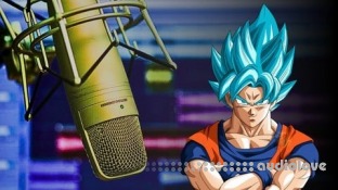 Udemy How to Record Clear Audio Like a Pro: No Background Noise