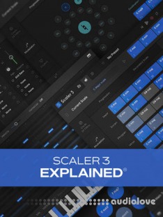 Groove3 Scaler 3 Explained