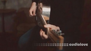 Udemy Learn Open D Tuning for Guitar: Step-by-Step Videos and Tabs