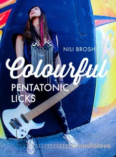 JTC Guitar Nili Brosh 20 Colourful Pentatonic Licks