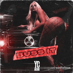 YC Audio Buss It
