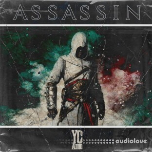 YC Audio Assassin