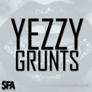 3 Digi Audio Yezzy Grunts