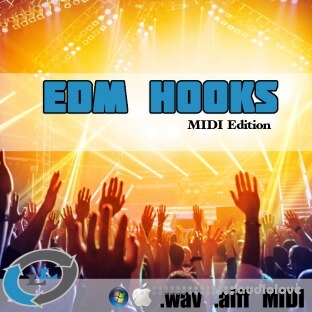 Loopslab EDM Hooks