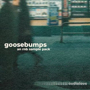 Jazzfeezy Goosebumps: Rnb (James Penley)