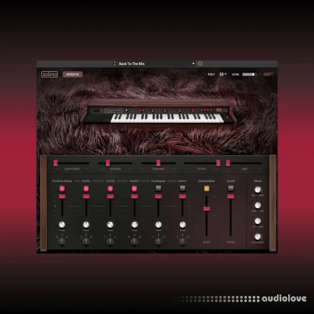 AIR Music Technology Solina