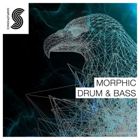 Samplephonics Morphic Drum and Bass