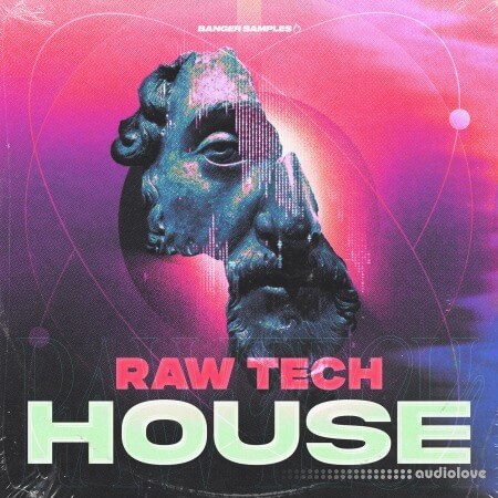 Banger Samples Raw Tech House
