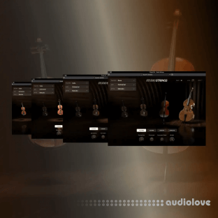 AIR Music Technology Studio Strings
