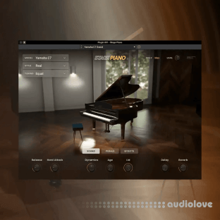 AIR Music Technology Stage Piano