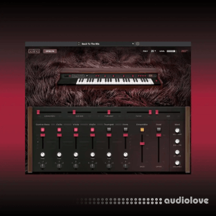 AIR Music Technology Solina