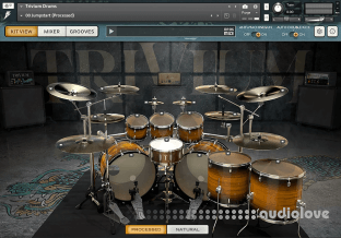 Bogren Digital Trivium Drums