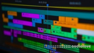 Udemy Premiere Pro Essentials: A No-Fluff Beginner Course