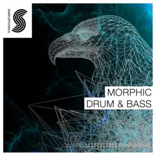 Samplephonics Morphic Drum and Bass