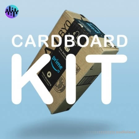 Noiiz Cardboard Kit