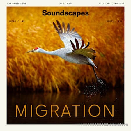 Splice Soundscapes Migration