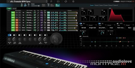Yamaha Expanded Softsynth Plugin for MONTAGE M