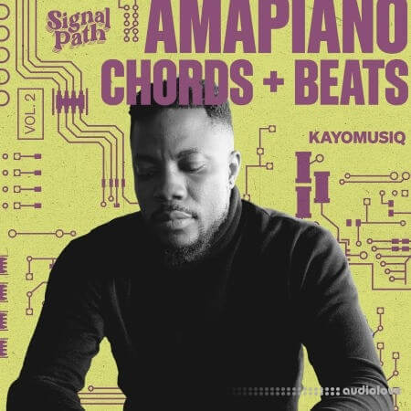 Signal Path Kayomusiq - Amapiano Chords And Beats Vol.2