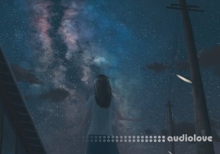 Lovbug Universe Kit