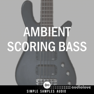 Simple Samples Audio Ambient Scoring Bass