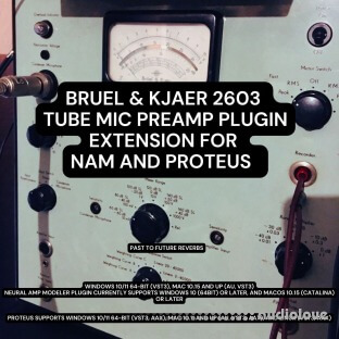 PastToFutureReverbs Bruel and Kjaer 2603 Tube Mic Preamp Plugin Extension