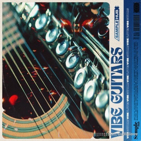 Sample Hub Vibe Guitars 2