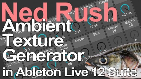 Ned Rush Ambient Texture Generator in Live 12 Suite