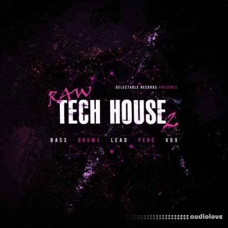 Delectable Records Raw Tech House 2
