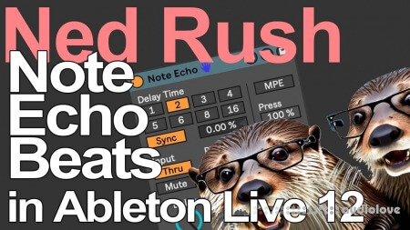 Ned Rush Note Echo Beats Teaser