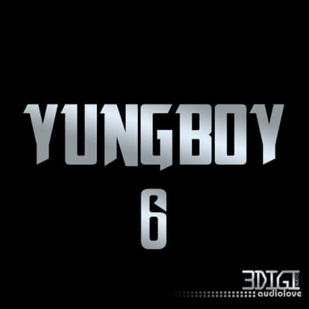 3 Digi Audio Yungboy 6